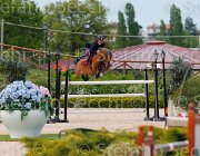 CHIMIRRI V GINGER ItaAss2013- S5 1430 : CHIMIRRI VINCENZO, Campionati Italiani 2013, Cattolica, GINGER, Horse Riviera Resort, foto di Stefano Secchi ©